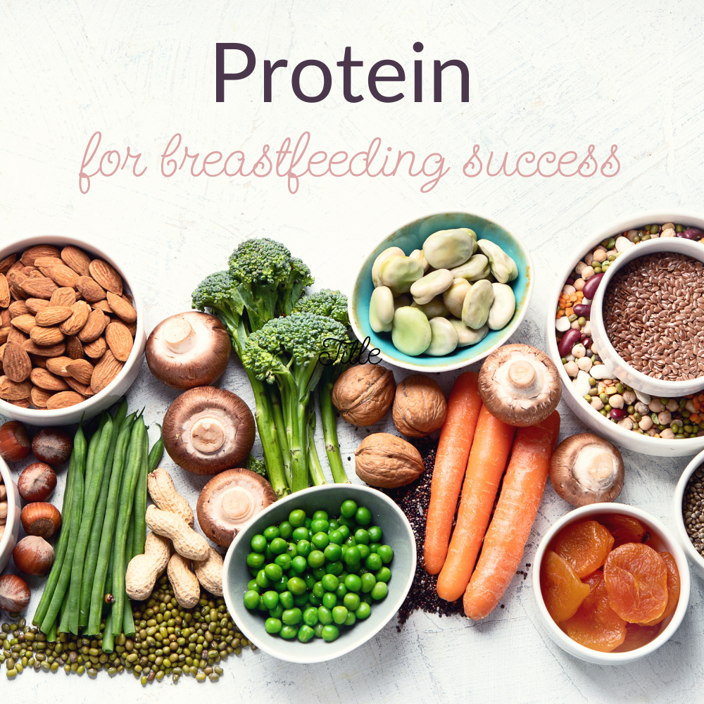 Protein: The Building Block of Breast Milk Supply and Postpartum Health